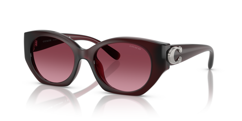Coach HC8407U Cw194 Sunglasses