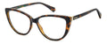 Polaroid PLD D543 Eyeglasses