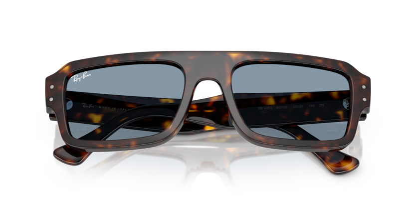 Ray-Ban RB4454 Flacko Sunglasses