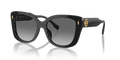 Tory Burch TY7198U  Sunglasses