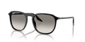 Ray-Ban RB2203F  Sunglasses