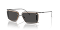 Diesel DL1002  Sunglasses