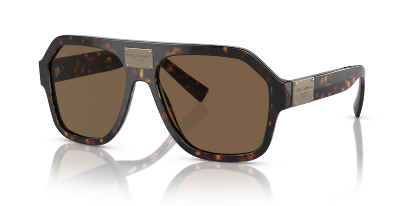Dolce & Gabbana DG4433  Sunglasses