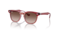 Ray-Ban Junior RJ9098S  Sunglasses Kids
