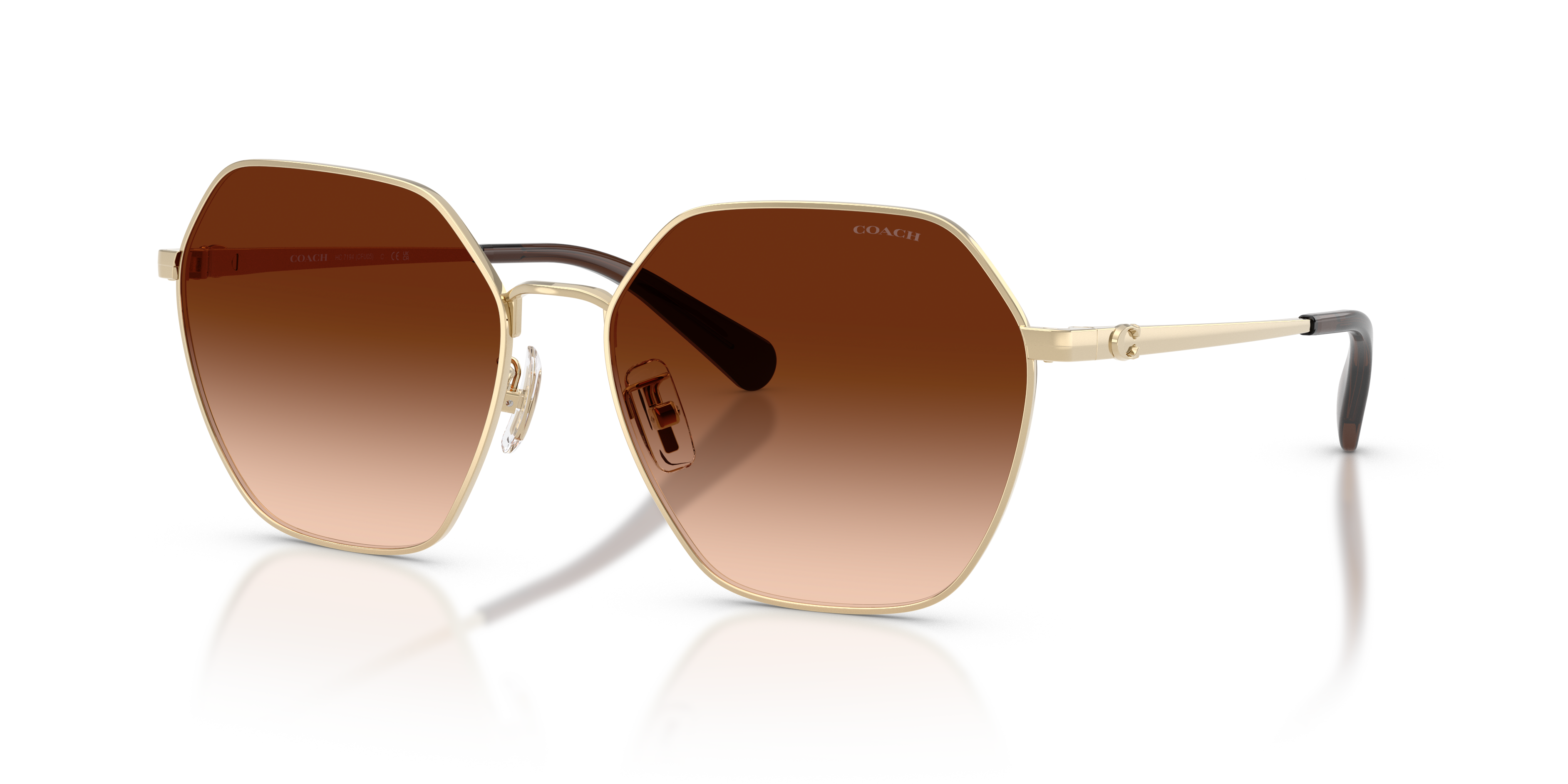 Coach HC7194 Cfu05 Sunglasses