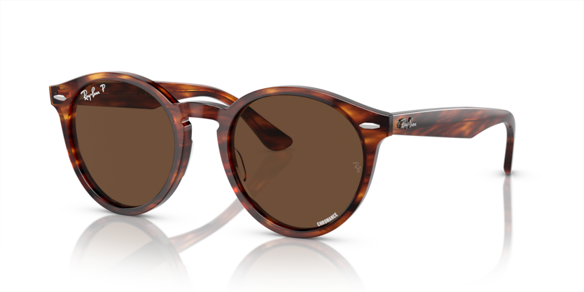 Ray-Ban RB7680S Larry Sunglasses