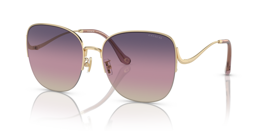 Coach HC7152 Ck481 Sunglasses