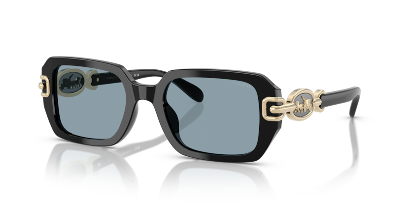 Coach HC8425U Cad74 Sunglasses