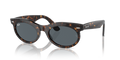 Ray-Ban RB2242F Wayfarer Oval Sunglasses