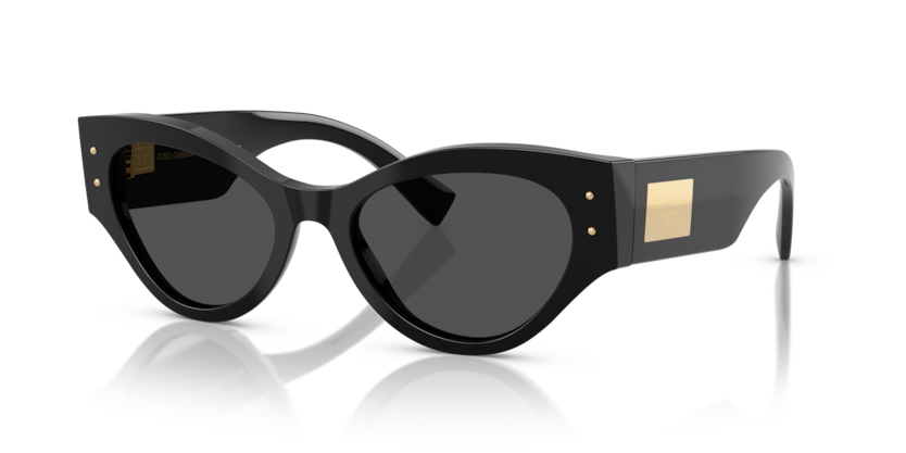 Dolce & Gabbana DG4480F  Sunglasses