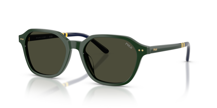 Polo PH4234U  Sunglasses