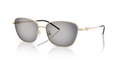 Emporio Armani EA2170  Sunglasses