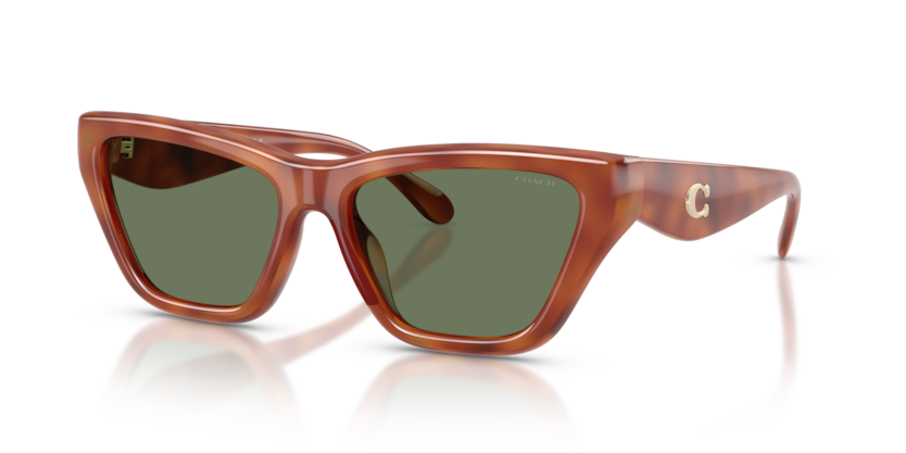 Coach HC8449U Cdp33 Sunglasses