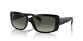 Ray-Ban RB4389  Sunglasses
