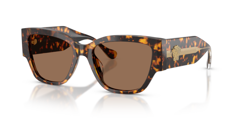 Versace VE4509U  Sunglasses