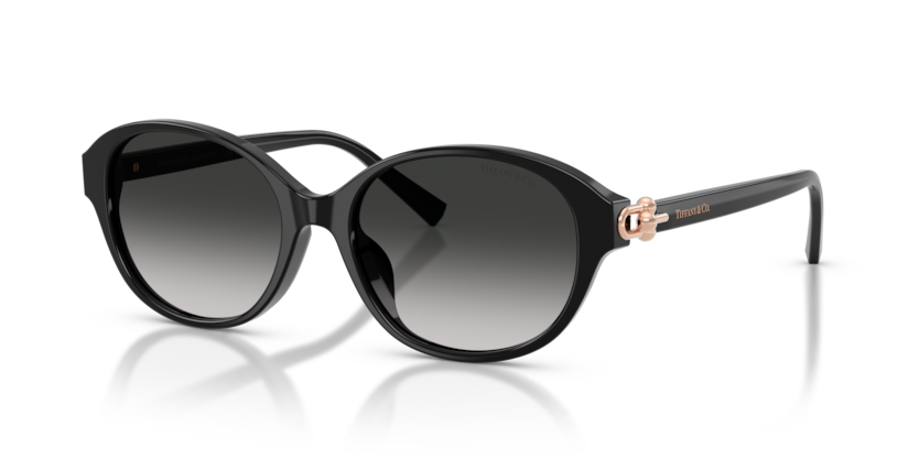 Tiffany TF4263D  Sunglasses
