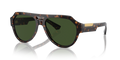 Dolce & Gabbana DG4466  Sunglasses