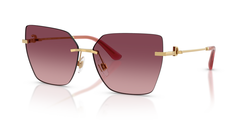 Dolce & Gabbana DG2321  Sunglasses