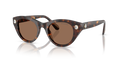 Swarovski SK6025  Sunglasses