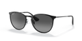 Ray-Ban RB3539 Erika Metal Sunglasses