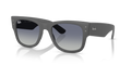 Ray-Ban RB4840S  Sunglasses