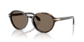 Giorgio Armani AR8237F  Sunglasses