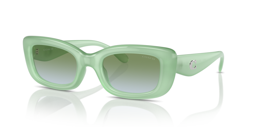Coach HC8390U Cr610 Sunglasses