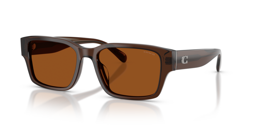Coach HC8441U Cby96 Sunglasses
