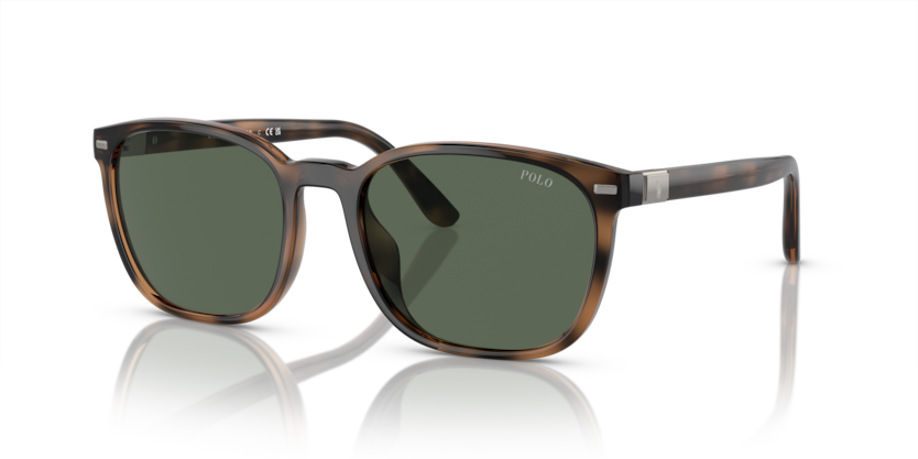 Polo PH4208U  Sunglasses