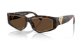 Tiffany TF4234U  Sunglasses