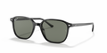 Ray-Ban RB2193 Leonard Sunglasses