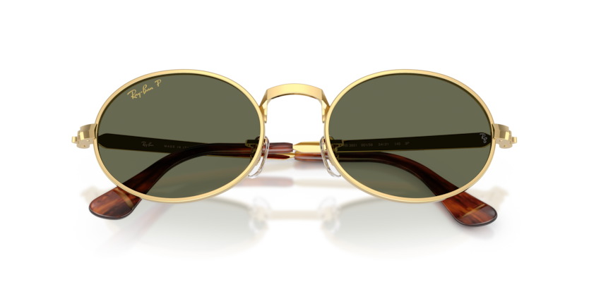 Ray-Ban RB3931  Sunglasses