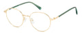 Polaroid PLD D567/G Eyeglasses