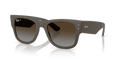 Ray-Ban RB4840S  Sunglasses