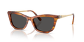 Swarovski SK6057  Sunglasses