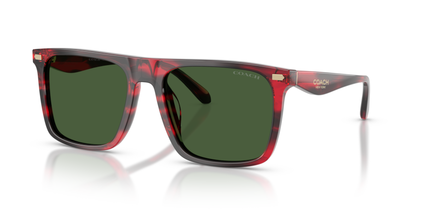 Coach HC8440U Cby95 Sunglasses
