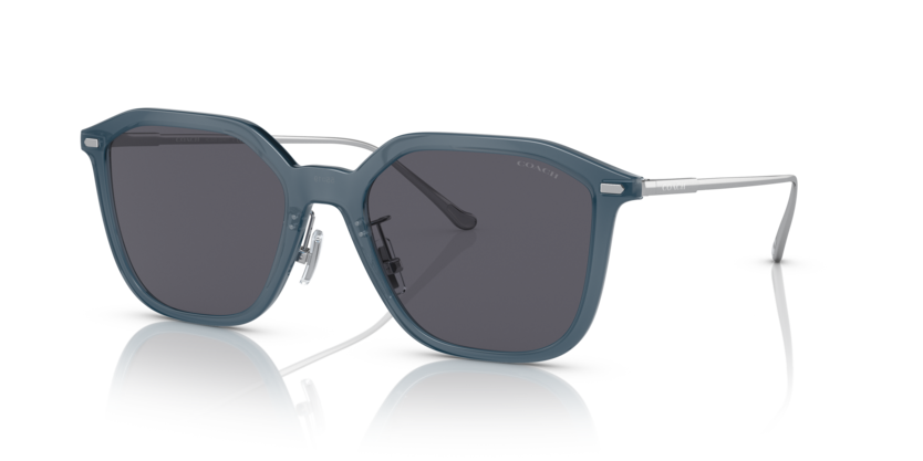Coach HC8355 Cd461 Sunglasses