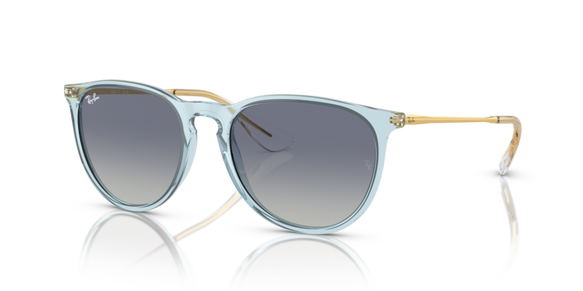 Ray-Ban RB4171 Erika Sunglasses