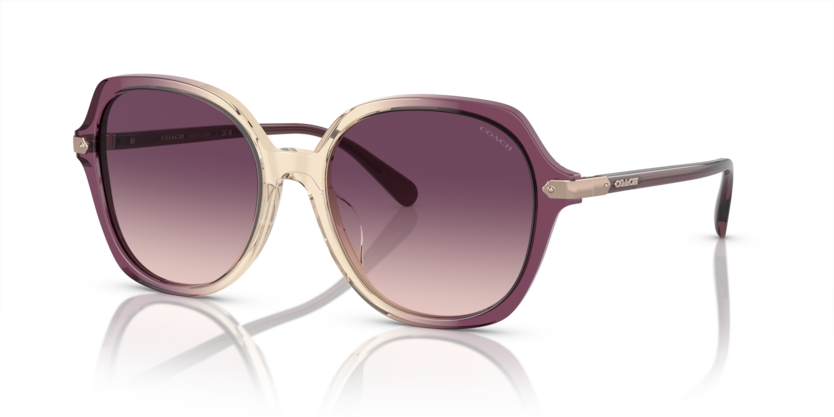 Coach HC8377U Cl925 Sunglasses