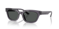 Emporio Armani EA4233U  Sunglasses