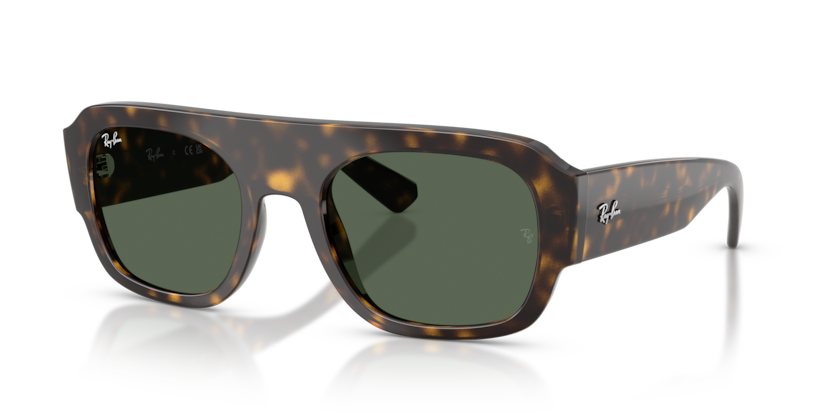 Ray-Ban RB2218  Sunglasses