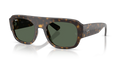 Ray-Ban RB2218  Sunglasses
