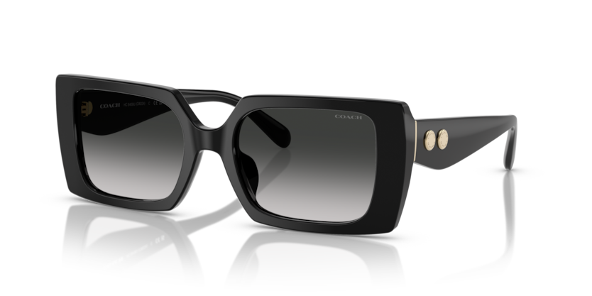 Coach HC8409U Cw224 Sunglasses