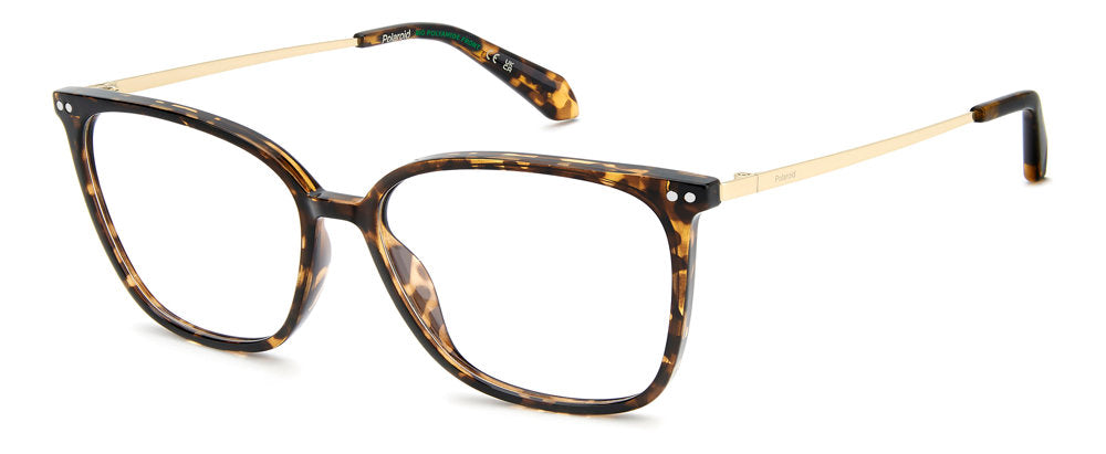 Polaroid PLD D616/US Eyeglasses
