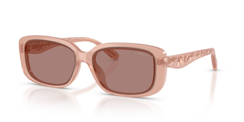 Coach HC8444D Cby86 Sunglasses