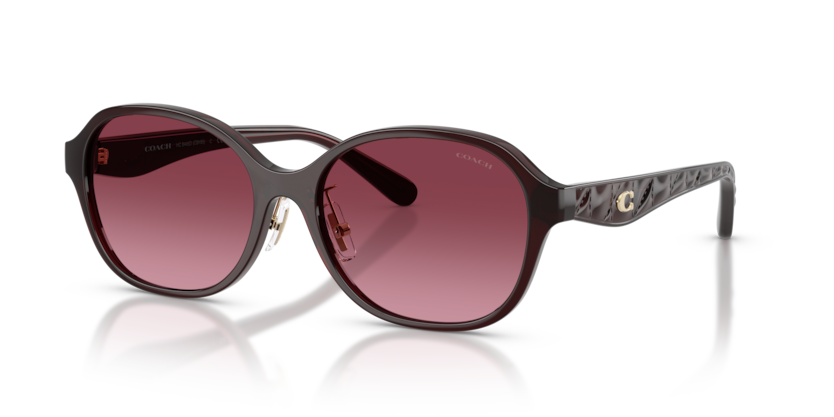 Coach HC8445D Cby85 Sunglasses