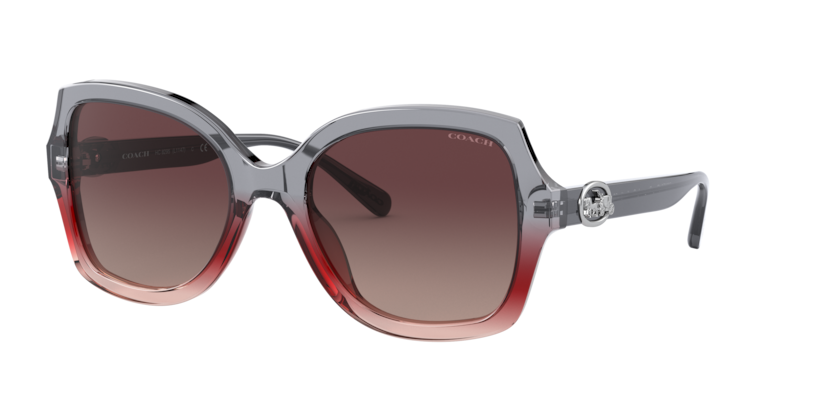 Coach HC8295 L1147 Sunglasses