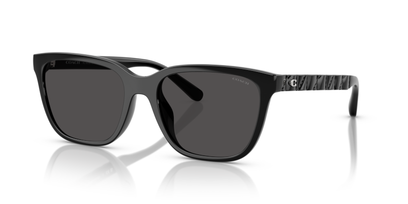 Coach HC8429D Cae86 Sunglasses