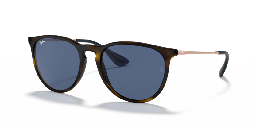Ray-Ban RB4171 Erika Sunglasses