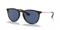 Ray-Ban RB4171 Erika Sunglasses